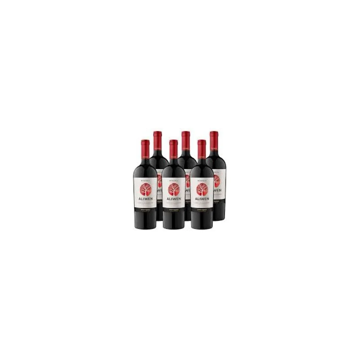 Rượu Vang Aliwen Reserva