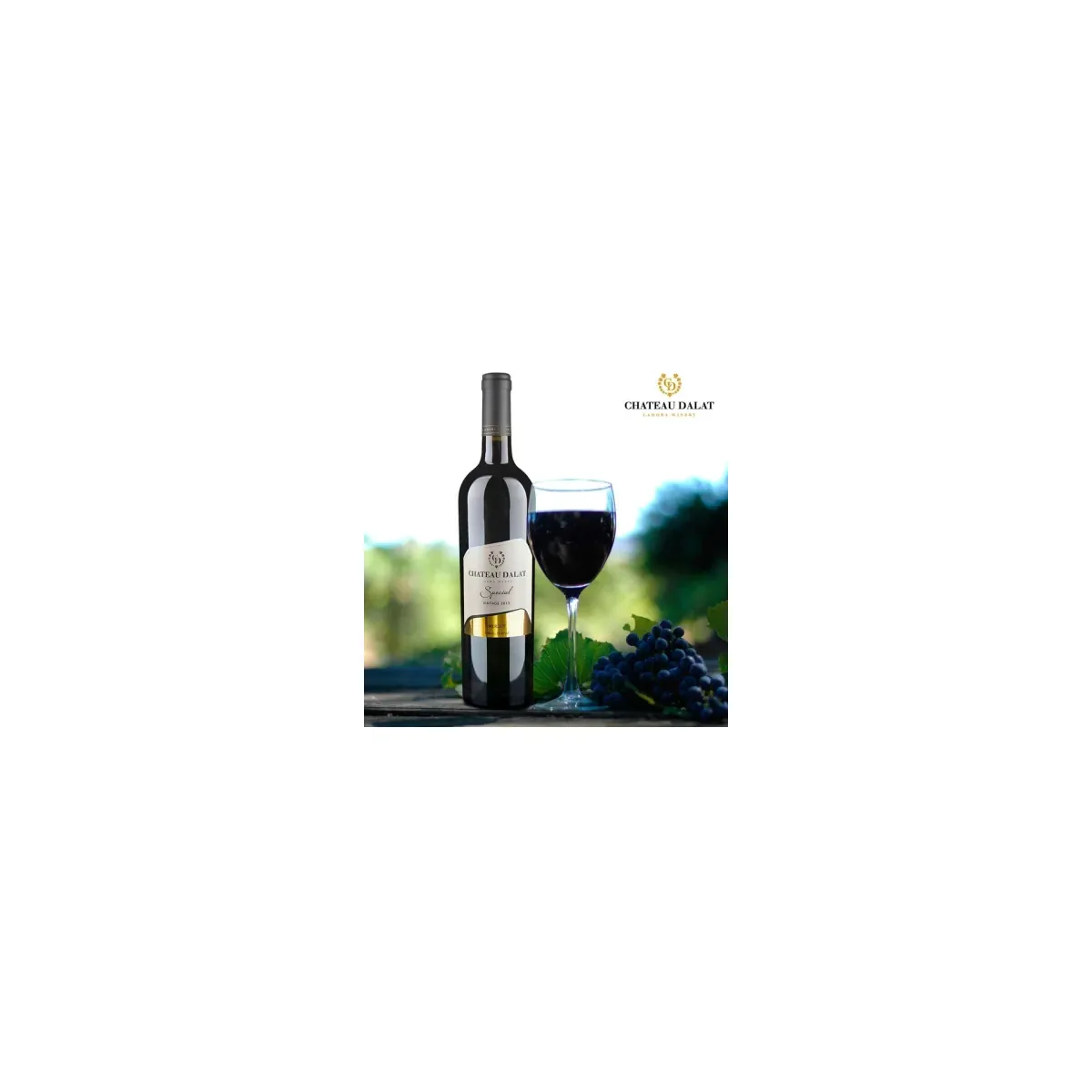 VANG CHATEAU DALAT SPECIAL CABERNET SAUVIGNON